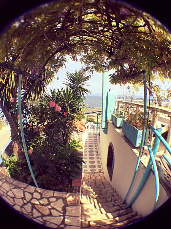 Benitsa Beach Hotel Achílleion Exteriér fotografie